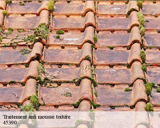 Traitement anti mousse toiture  45390