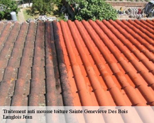 Traitement anti mousse toiture  sainte-genevieve-des-bois-45230 Langlois Jean