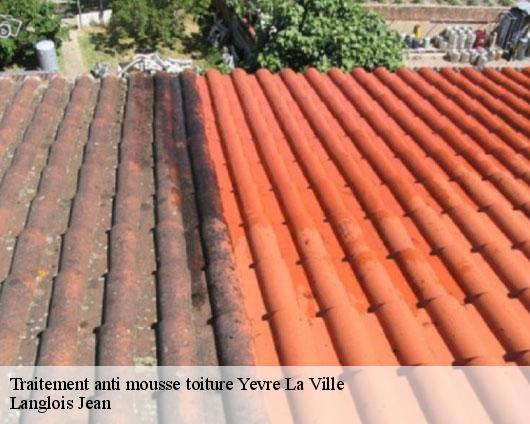 Traitement anti mousse toiture  yevre-la-ville-45300 Langlois Jean