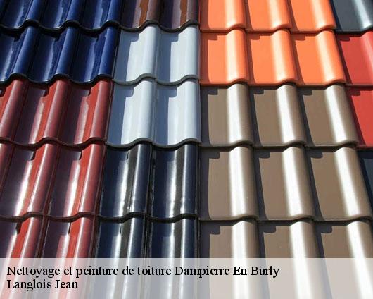 Nettoyage et peinture de toiture  dampierre-en-burly-45570 Langlois Jean